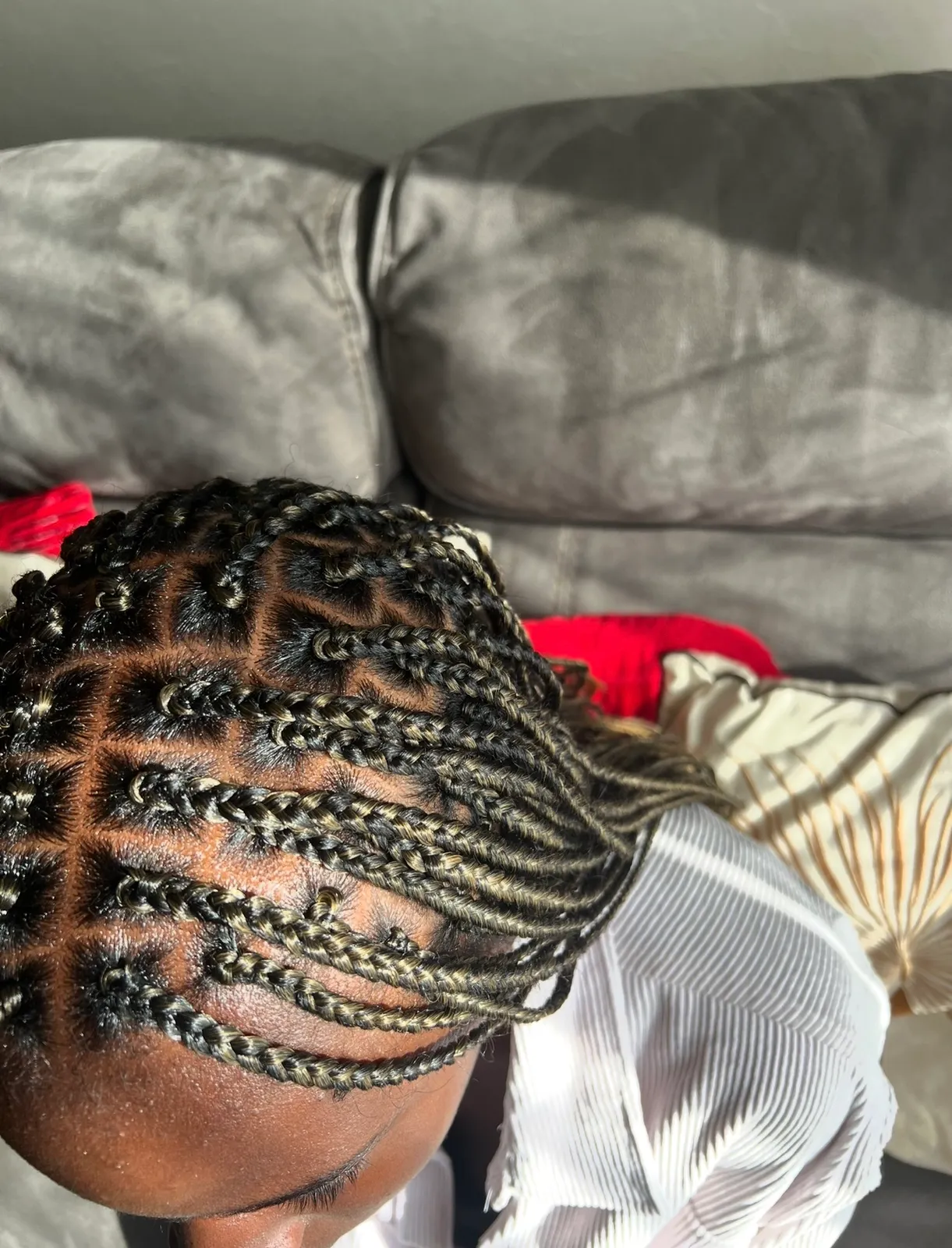 Feed-in cornrows with clean box partings and fine blonde highlights, close-up along the scalp